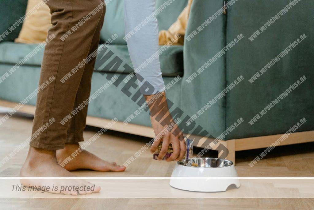 Hundefutter