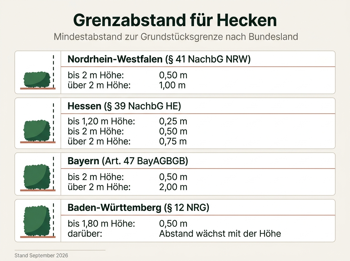 Infografik mit den Grenzabständen für Hecken in vier Bundesländern